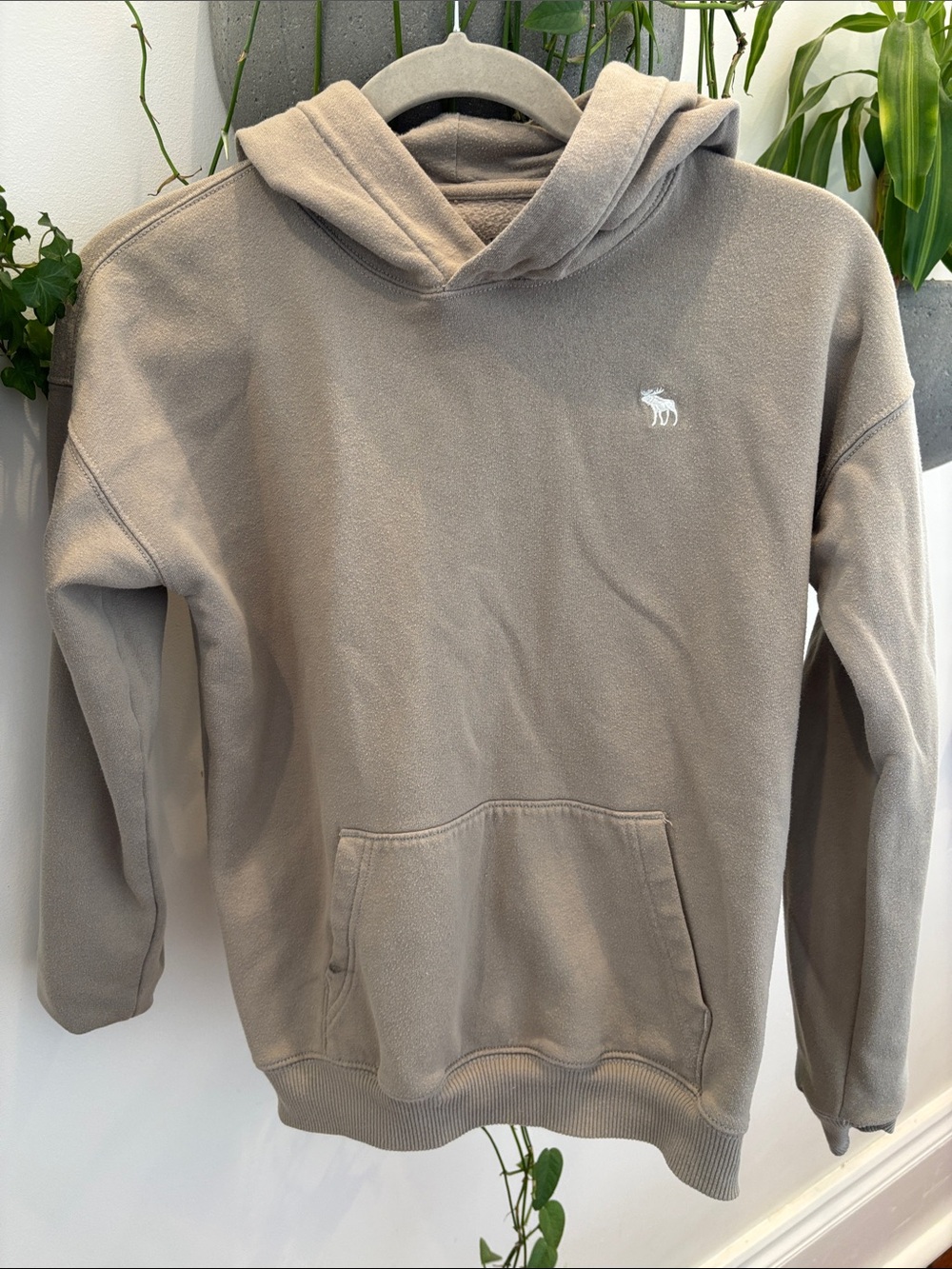Abercrombie & Fitch BoysHooded Pullover Sweatshirt - Taupe